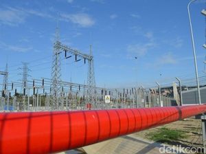 46 Proyek Energi Terbarukan Terancam Batal, Ini Langkah ESDM