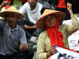 Ekspor Dibatasi, Harga Karet Naik 5% Jadi US$ 1,54/Kg