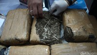 Polisi juga menusnahkan ganja.