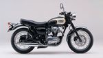Goodbye Kawasaki W800
