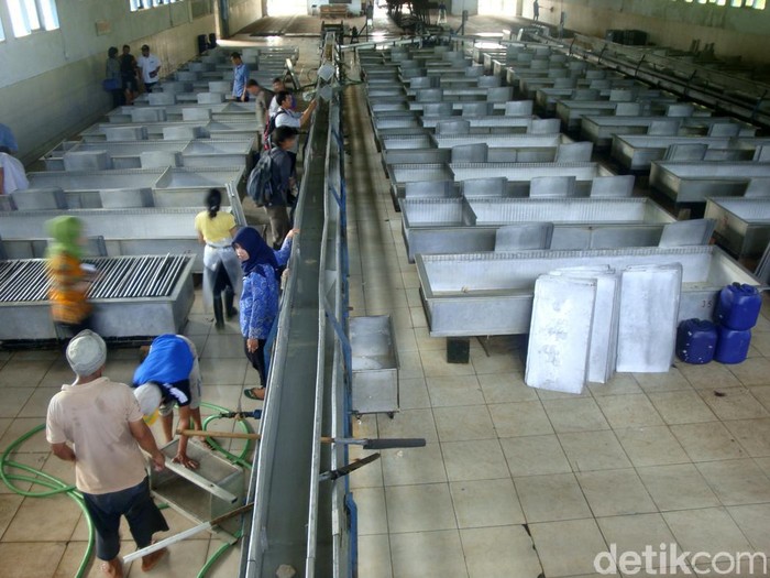 Produksi Karet PTPN IX