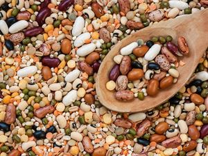 5 Kacang yang Bikin Kesehatan Tubuhmu Nggak Dikacangin (2)