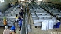 Kebun Krumput mempunyai luas wilayah kerja 2.051,25 Ha dan rata rata setiap tahun mengolah getah karet 1.300 - 1.600 ton produksi per tahun dan biasa disebut di PTPN IX sebagai kebun kecil, tapi mempunyai hasil yang maksimal.