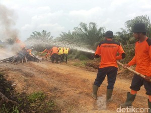 Muncul 288 Hotspot Kebakaran Hutan dan Lahan, Sebagian Sengaja Dibakar