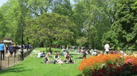 St James Park, saat musim panas, tempat ini jadi favorit. St James Park pun tampak penuh dengan warga dan wisatawan (Fitraya/detikTravel)