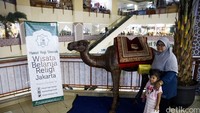 Para pengunjung juga bisa berfoto bersama Onta dan pohon kurma khas timur tengah.