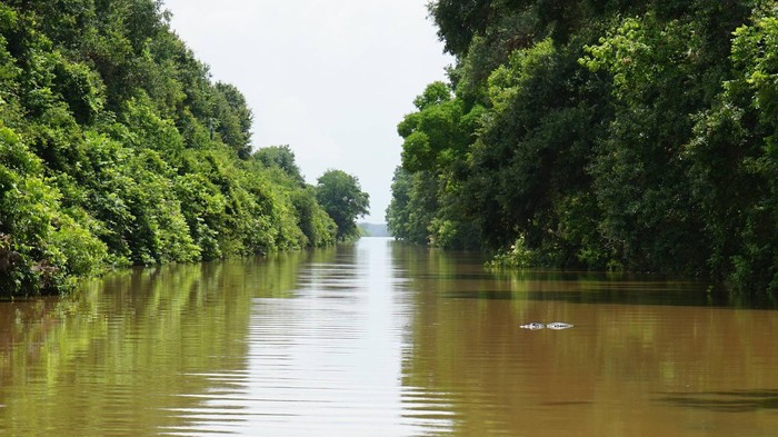 Korban Tewas Banjir di Texas Bertambah Jadi 16 Orang