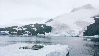 Fatamorgana: Kita terbiasa melihat atau mengaitkan fatamorgana dengan panas, seperti di gurun atau jalan yang panas. Namun, fatamorganajuga terjadi dalam kondisi sangat dingin. Di Antartika, fatamorgana cukup umum dan kadang meresahkan. Seorang laksamana Angkatan Laut mengingat bahwa dia pernah melihat puncak gunung muncul dan menghilang di benua itu. Foto: John Bozinov