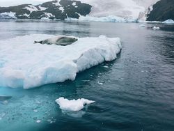 10 Misteri Menyeramkan di Antartika yang Tak Terpecahkan