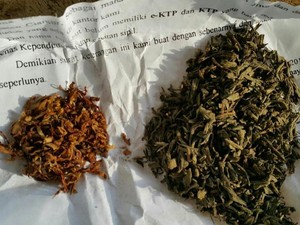 Tangkap 5 Pengedar Narkoba, BNNP Sulsel Temukan 2,6 Kg Ganja Siap Edar