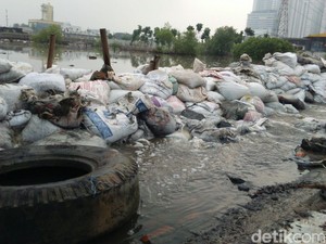 Ini Kawasan Pesisir Jakarta Utara yang Rawan Banjir Air Laut