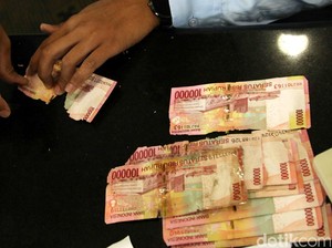 Selain Kena Rayap, Ada Juga Cerita Duit Rusak Dimakan Tikus