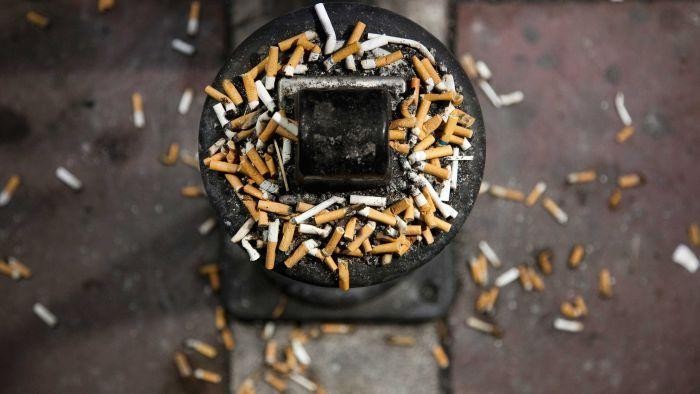 Buang Puntung Rokok, Sabri Jadi Tersangka Kebakaran Hutan