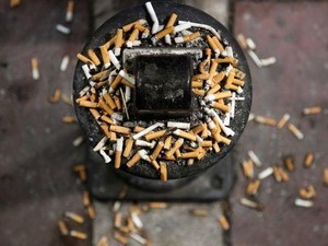 Buang Puntung Rokok, Sabri Jadi Tersangka Kebakaran Hutan