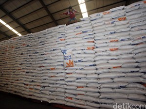 Begini Jurus Kementan Sehingga RI Tak Impor Beras
