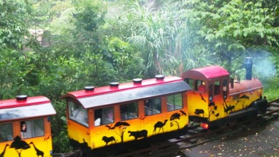 Tut.. Tut.. Asyiknya Naik Kereta Wisata di Taman Safari Prigen