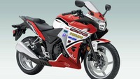 Zhejiang Jiajue Motorcycle Manufacturing membuat sportbike R12, yang punya desain identik dengan sport fairing Honda CBR 250R. Motor ini ditawarkan dalam varian mesin 125 cc dan 250 cc. Foto: Istimewa