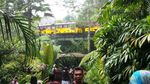 Tut.. Tut.. Asyiknya Naik Kereta Wisata di Taman Safari Prigen
