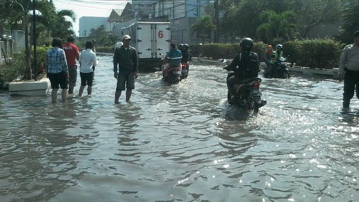 Pak Ahok Tolong, Rob di Muara Baru Sudah Ganggu Warga