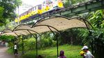 Tut.. Tut.. Asyiknya Naik Kereta Wisata di Taman Safari Prigen