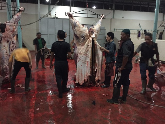 Satgas dari Bareskrim Sambangi Feedloter Sapi Tangerang, Cek Distribusi