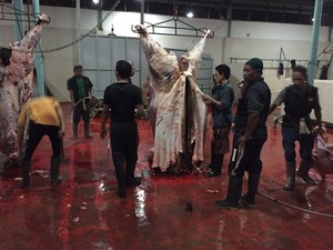 Satgas dari Bareskrim Sambangi Feedloter Sapi Tangerang, Cek Distribusi