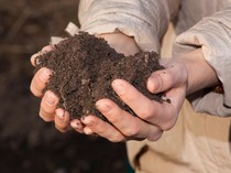 5 Faktor Pembentukan Tanah dan Jenis-jenis Tanah