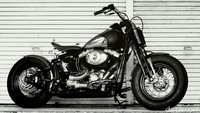 Nama The Jawir sendiri diberikan dengan alasan pemilik motor adalah Orang Jawa. Kesan Jawanya da pada bagian rocker box dan cover engine kanan kiri yang dihiasi dengan ukiran batik, serta tetap mempertahankan nilai klasik dan keartistikannya yang menjadi ciri khas dari Harley Cross Bones 2009 ini. Foto: Baru Motor Sport