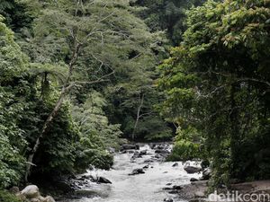 Dongeng Joko Bodo, Cerita Rakyat dari Jawa Tengah