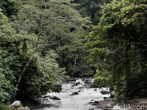 Dongeng Joko Bodo, Cerita Rakyat dari Jawa Tengah