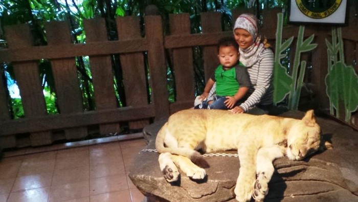 Tips Berfoto Aman dengan Satwa Liar