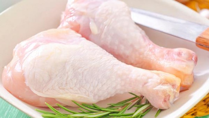 ayam broiler