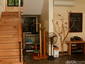 Serba-serbi Menata Rumah Mungil Agar Terkesan Luas