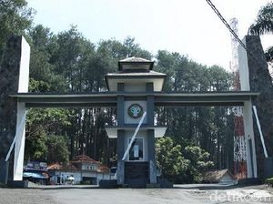 Soal Kafe di Tahura Juanda, Wagub Deddy: Tertibkan Segera Mungkin!