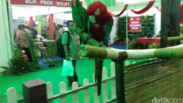 Ada Ular dan Bayi Singa, Begini Suasana JCC Disulap Jadi Kebun Binatang Mini