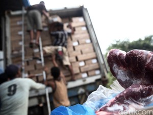 Ada Daging Kerbau Asal India, Ini Kata Importir Daging Sapi