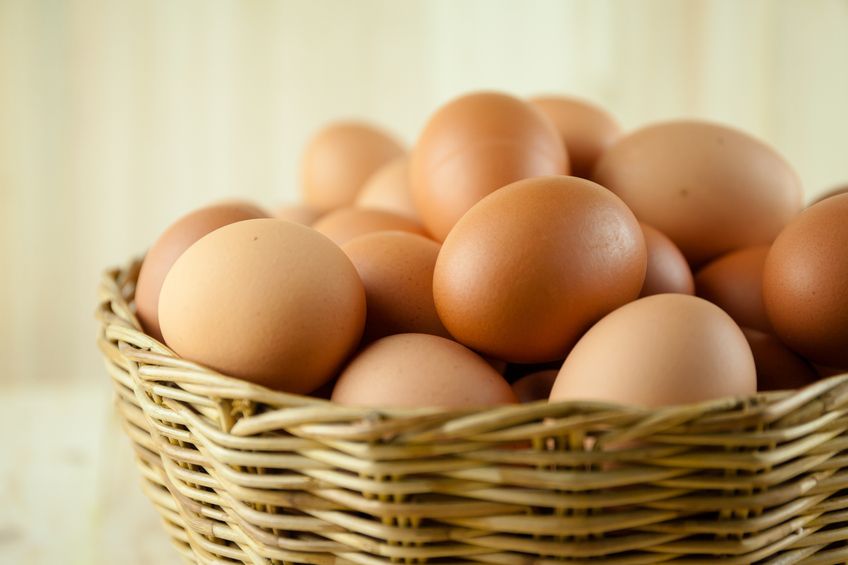 Mau Telur  Puyuh Atau Ayam  Kampung Perhatikan Dulu Nutrisinya 