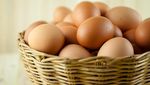 Mau Punya Badan Sehat dan Berotot? Ini 8 Makanan yang Perlu Rutin Dikonsumsi