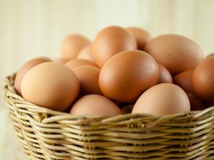 Wah, Pria Ini Berturut-turut Temukan 12 Telur dengan Dua Kuning!