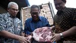 Bulog Terima 300 Ton Daging Beku Australia