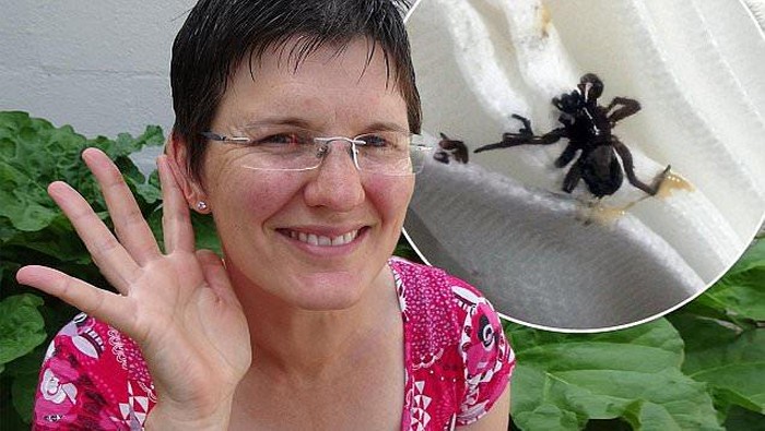 Telinga Wanita Ini Nyeri Pasca Berenang, Ternyata Ada Laba-laba di Dalamnya