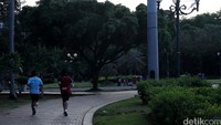 Ada juga yang lari sore.