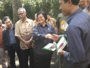 Menteri LHK: Masyarakat Kembalikan 100 Jambul Kuning, 22 Dilepas di Papua