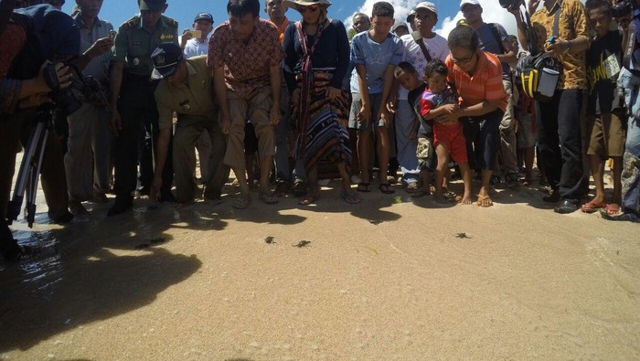 Sambangi Desa Babokerong di Lembata NTT, Menteri Susi Dielu-elukan