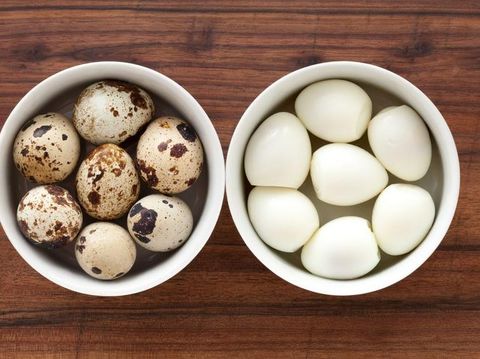 olahan telur puyuh