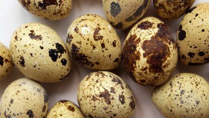 Cara Masak Telur Puyuh Yang Enak Masak Memasak