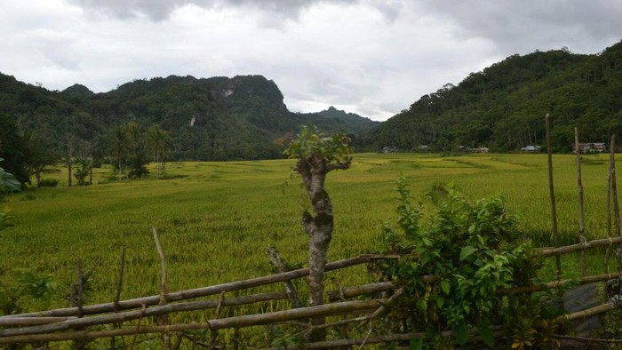 Melihat Temuan Bersejarah di Gua-gua di Bone: Lukisan Hingga Alat dari Tulang