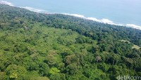 Kawasan konservasi Tambling Wildlife Nature Conservation (TWNC) diapit Teluk Tampang dan Tanjung Belimbing.