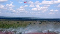 Dimana menurut data satgas sekitar 35 hektar lahan terbakar di areal ini. (dok. APP)