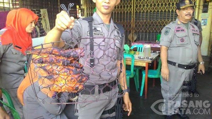 Mendagri: Berlebihan Satpol PP Kota Padang Razia Ikan Bakar untuk Bukti